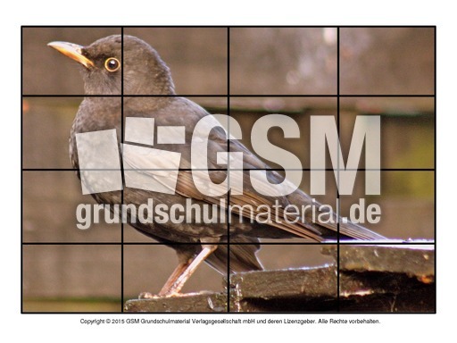 Puzzle-Amsel-7.pdf